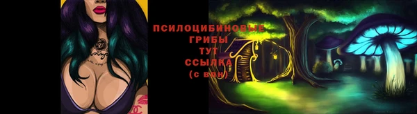 гашик Заволжск
