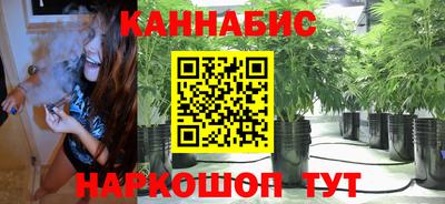 ГАЛЛЮЦИНОГЕННЫЕ ГРИБЫ Ковров