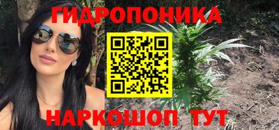 ГАЛЛЮЦИНОГЕННЫЕ ГРИБЫ Ковров